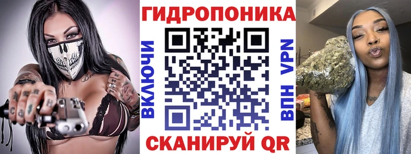 Бошки марихуана White Widow  кракен как зайти  дарк нет телеграм  Егорьевск 